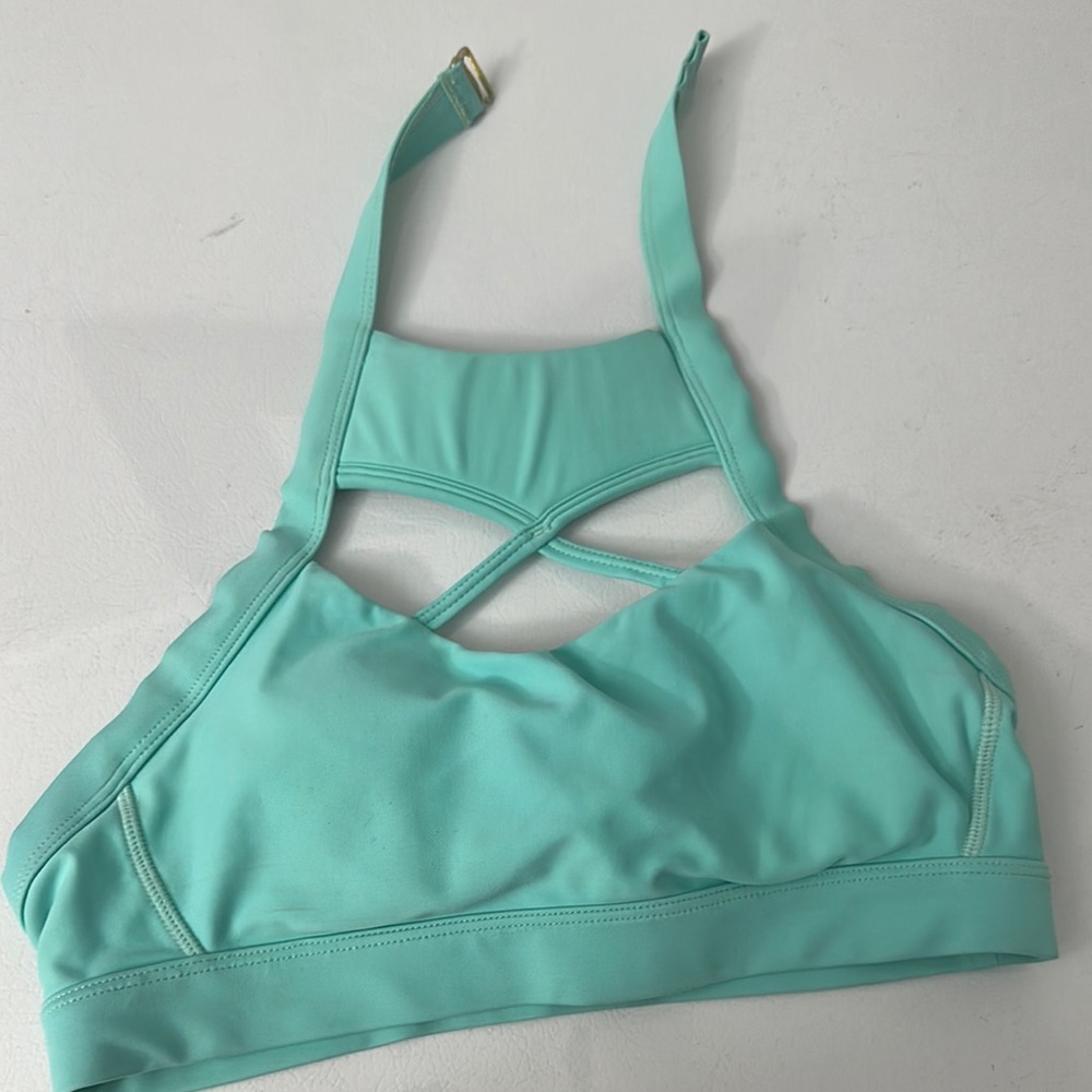 The Chestee Aqua Sports Bra
